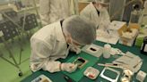 Japanese scientists want to send a wooden satellite into space