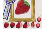 【奇蹟@蛋】KITAN(轉蛋)奇譚蔬果王國-伯爵草莓磁鐵&吊飾 全7種 整套販售NO:2823