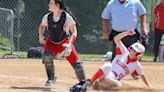 DISTRICT 2 SOFTBALL: Hazleton Area falls to Williamsport in title game