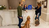Luxury dog-boarding brand fetches $10M investment