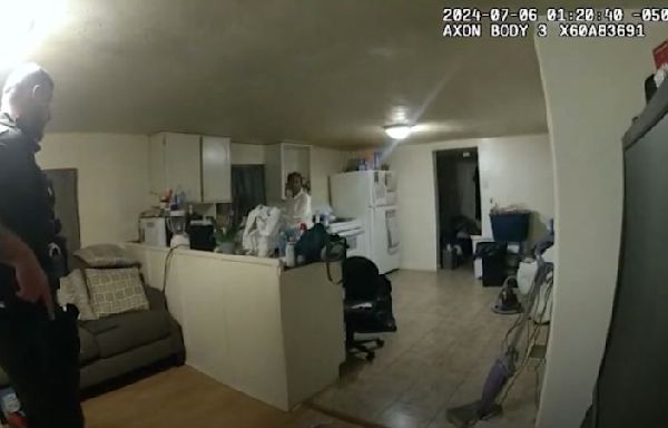 Illinois police release bodycam video of fatal shooting of Black woman in her home
