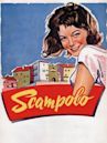 Scampolo