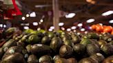 México y Estados Unidos acuerdan un plan para liberar la exportación del aguacate de Michoacán