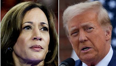 Kamala Harris takes massive lead over rival Donald Trump among young voters, new poll says