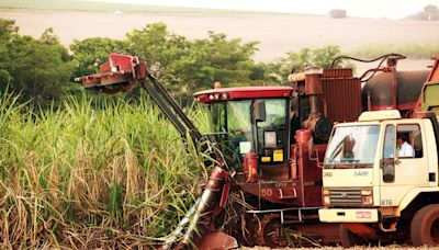 Brasília Hoje: Brasil e Europa discordam sobre uso da terra para produção de biocombustíveis