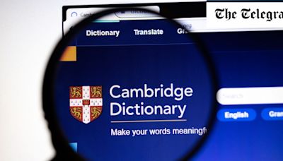 Dictionary gets ‘the ick’ in list of 2024’s new words and phrases