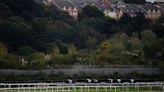 BHA to launch investigation following deaths of four horses at Newton Abbot on Tuesday