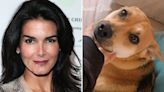 Angie Harmon sues Instacart, delivery driver after dog shot and killed