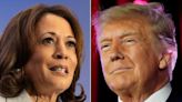 Giro en las elecciones de EE.UU.: qué dicen las encuestas sobre un posible duelo electoral entre Donald Trump y Kamala Harris