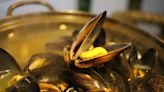 Pesca artesanal: Mitos y verdades sobre el consumo de mejillones - Diario El Sureño