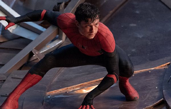 Spider-Man director has shared his advice for whoever directs Spidey 4 and fans aren't happy