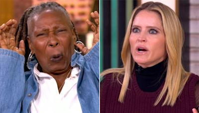 'The View' star Whoopi Goldberg stunned by cornhole reference: 'Not THAT cornhole!'