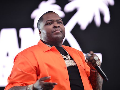 Sean Kingston arrested on suspicion of fraud after his mother was taken into custody in Florida mansion raid