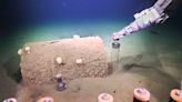 DDT chemicals making way into deep-sea food web, alarming researchers