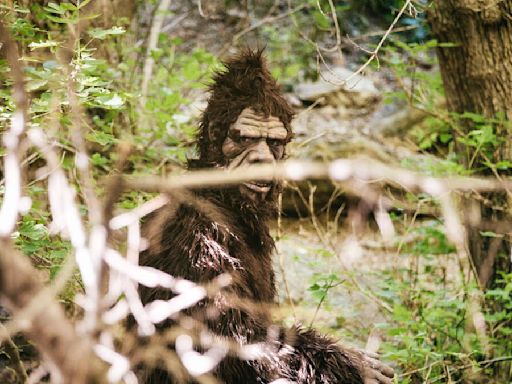 "Baby Bigfoot" Caught On Camera Next To Deer | 99.9 Kiss Country | Carletta Blake