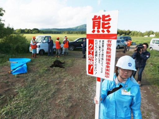 日本青森1婦女遭熊襲死亡 熱門景點八甲田山實施入山管制