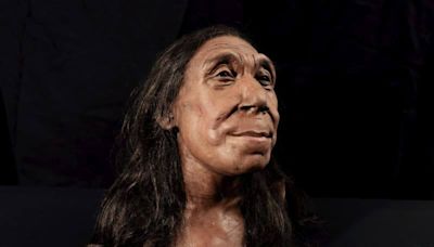 Meet the 75,000-year-old Neanderthal woman whose friendly face is sparking a scientific debate