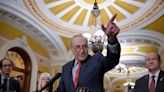 US Senate leader Chuck Schumer calls for new Israel elections amid Gaza war