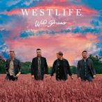 西城男孩Westlife  / 狂野之夢  **全新**CD