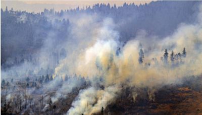 加州史上第6大野火災害「36萬英畝全燒光」 消防局證實：人為縱火引起
