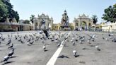 Check feeding of pigeons near Mysore Palace: DC tells officials - Star of Mysore