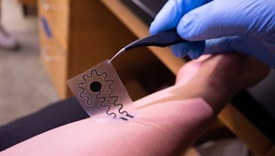 Soft, stretchy electrode simulates touch sensation | Newswise