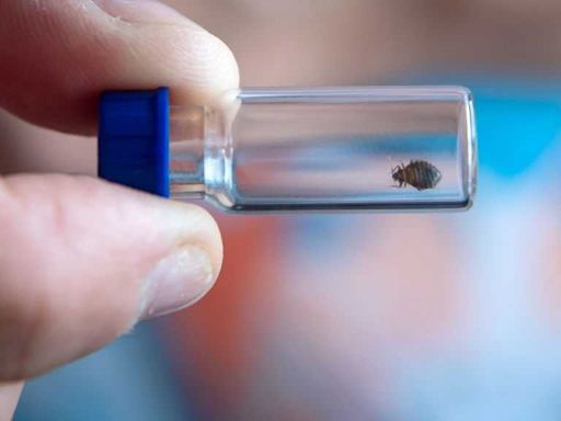 California Department of Education building dealing with potential bed bug infestation