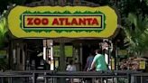 Zoo Atlanta reopens Saturday, though some concessions restricted