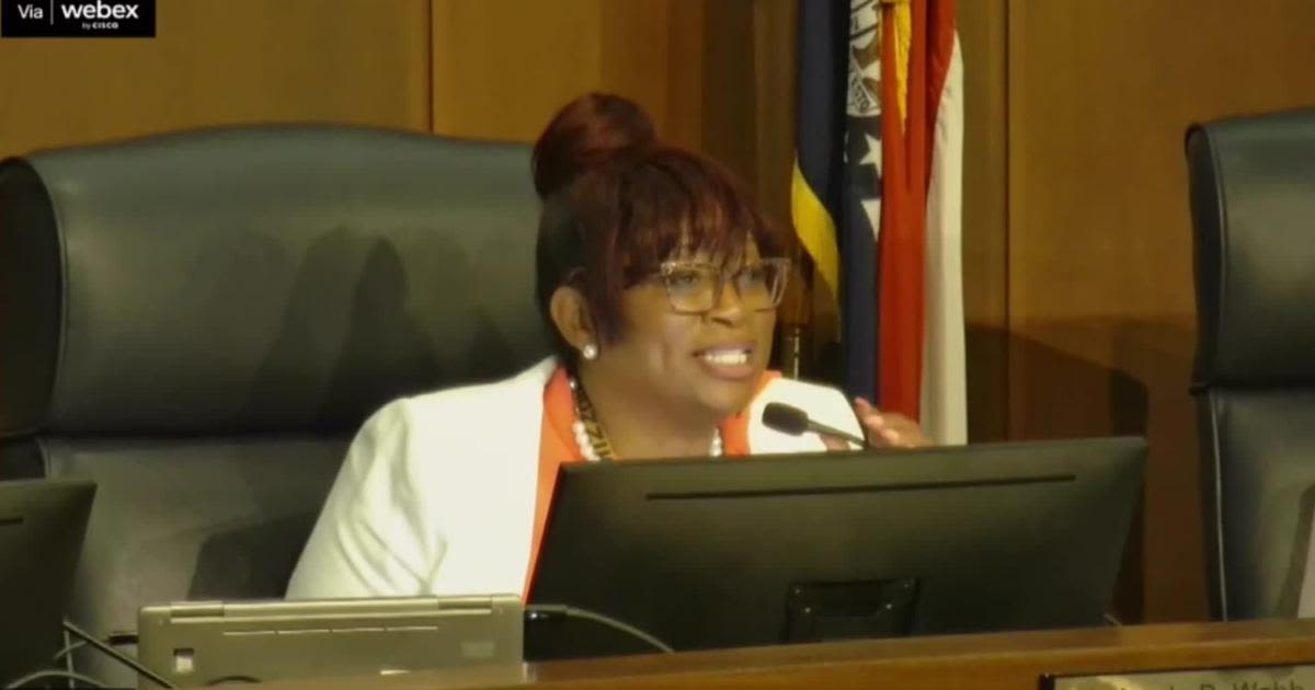 St. Louis County Council chair tells executive not to 'assassinate our character'