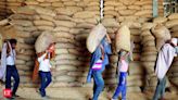 India to sell wheat from state stocks to flour millers, biscuit makers