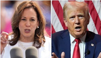 Trump slams Harris' ‘gross incompetence’ after ICE says over 400K ‘convicted criminals’ are living in US illegally