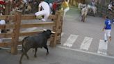 Quinto encierro de fiestas de Tudela: un corneado en la plaza