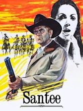 Santee (film)