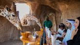 Fancy breakfast with giraffes, dinner with leopards in the UAE?