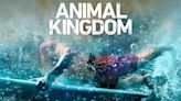 Animal Kingdom Season 2: Where to Watch & Stream Online