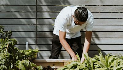 Voici pourquoi le jardinage est si bon pour le corps et l'esprit