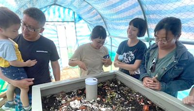 小琉球廚餘越來越多 引進「神奇生物軍團」黑水虻盼幫忙消滅