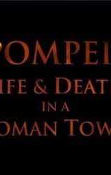 Pompeii: Life & Death in a Roman Town