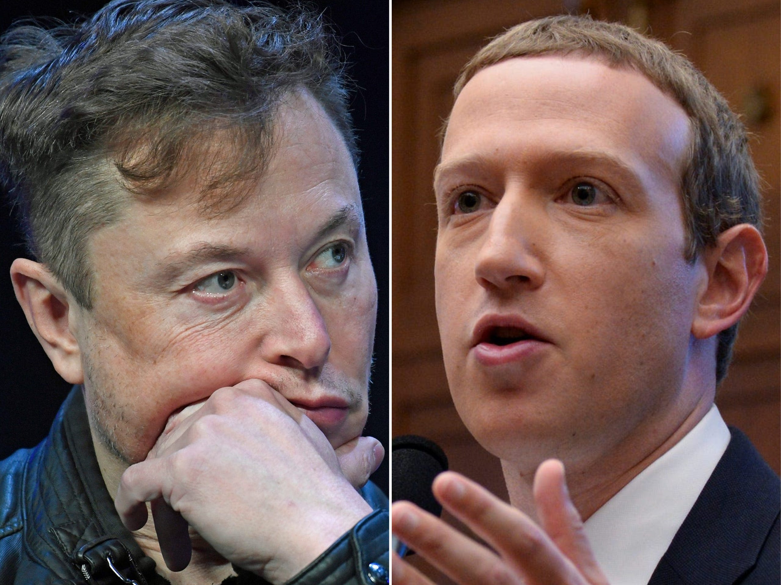 Inside the nearly 8-year-long feud between Elon Musk and Mark Zuckerberg that has threatened to become physical