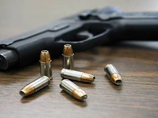 Man shoots self in Delhi’s Rohini, probe on