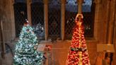 Applications for Worcester Cathedral Christmas Tree Festival open