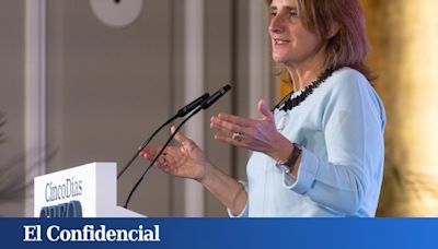 A qué se dedicaba antes de la política Teresa Ribera, la candidata del PSOE en las elecciones europeas 2024