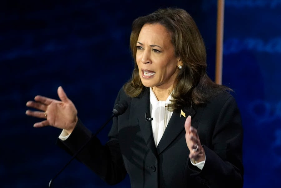 Democrats ‘pretty blown away’ by Harris’ debate performance: Minnesota Rep. |