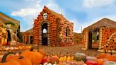 The Best Pumpkin Patches Near Los Angeles to Check Out This Fall
