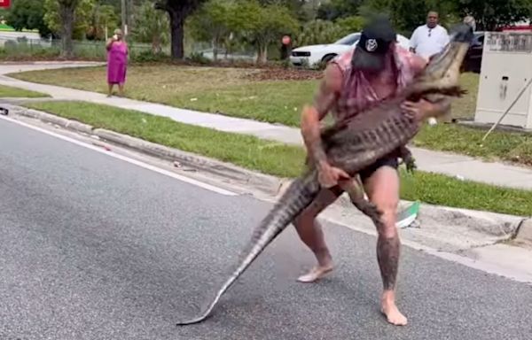 Watch: MMA Fighter Man Handles Large Alligator in the Middle of a Busy Florida Street