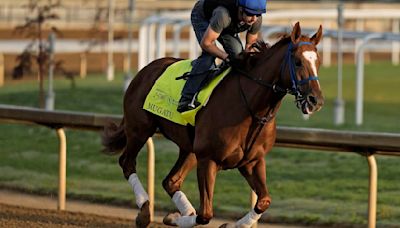 Preakness gets 3 horses confirmed, but Mystik Dan uncertain