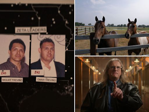 Cowboy Cartel: How FBI busted deadly Mexican gang by tracking their quarter horses