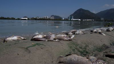 Una promesa olímpica para restaurar las lagunas de Río de Janeiro finalmente está tomando forma