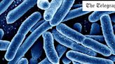 E. coli outbreak thought to be linked to nationally distributed food