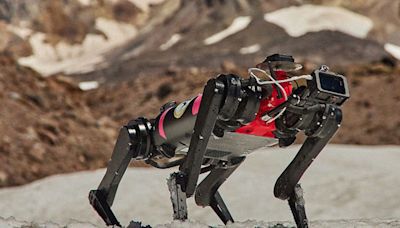 NASA Quietly Training Robot Dog to Navigate Landscape of the Moon